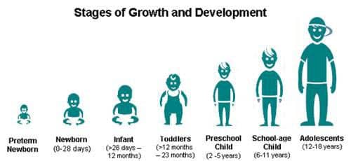 stages of chrild growth and development