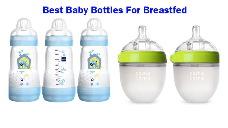 Top 5 Best Baby Bottles For Breastfed to Buy in 2020