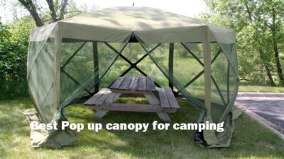 Best Pop up canopy for camping 2020