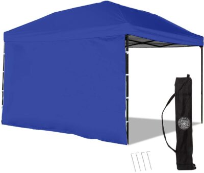 Punchau Pop Up Canopy Tent 10 x 10