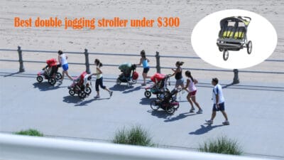 Best double jogging stroller under $300