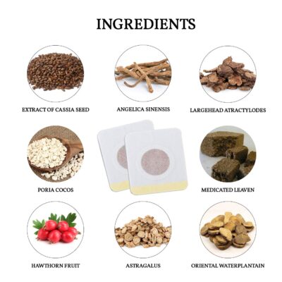 Ingredients of Reejoys Patches