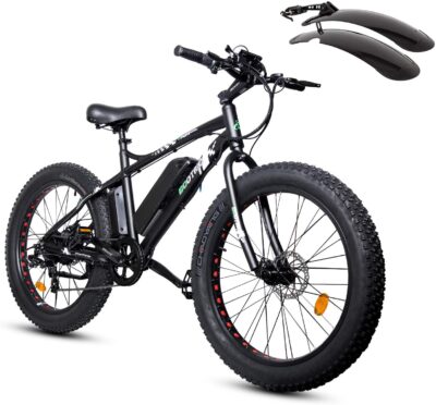 ECOTRIC Powerful Fat Tire Electric Bicycle 26"