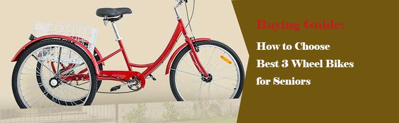 Buying Guide: How to Choose Best 3 Wheel Bikes for Seniors