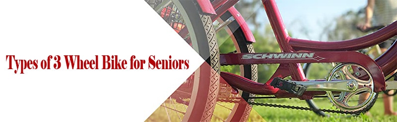 Types of 3 Wheel Bike for Seniors