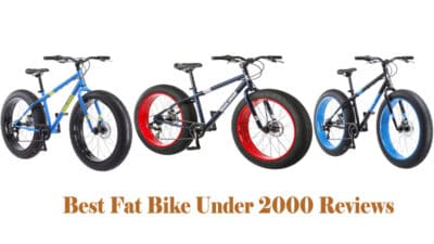 Best Fat Bike Under 2000 Reviews
