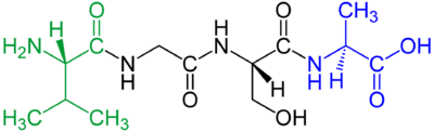 Peptide