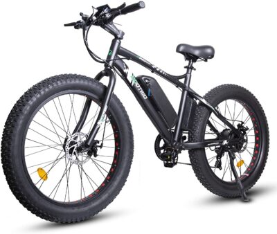 ECOTRIC Electric Powerful Bicycle 26“ Fat Tire Bike 500W 